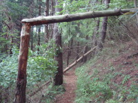 20120624_93.jpg