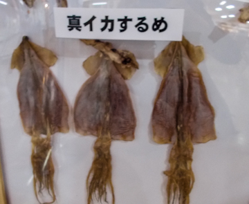 DSCN4072.jpg