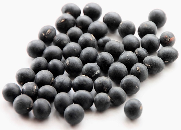 丹波産の黒豆　ブログ写真.jpg