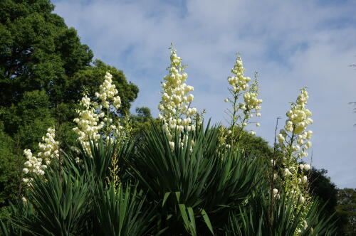 日比谷公園のにて