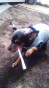 rblog-20140220143510-01.png
