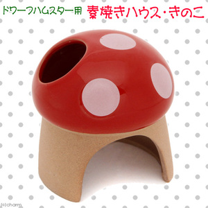 きのこ.jpg