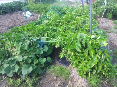 rblog-20141007002926-01.jpg