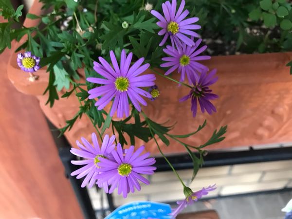 rblog-20181203161408-00.jpg