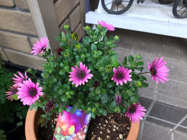 rblog-20190426181233-02.jpg