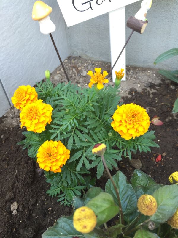 rblog-20150711112744-01.jpg