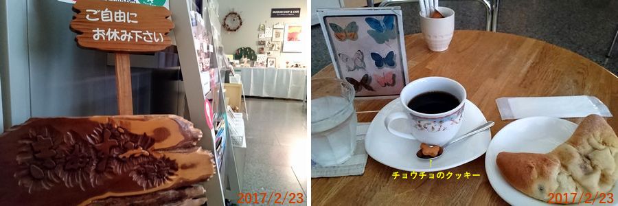 ２／２３喫茶室で一休み.jpg
