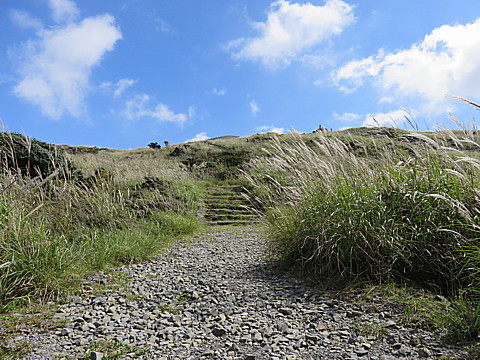 IMG_6469.jpg