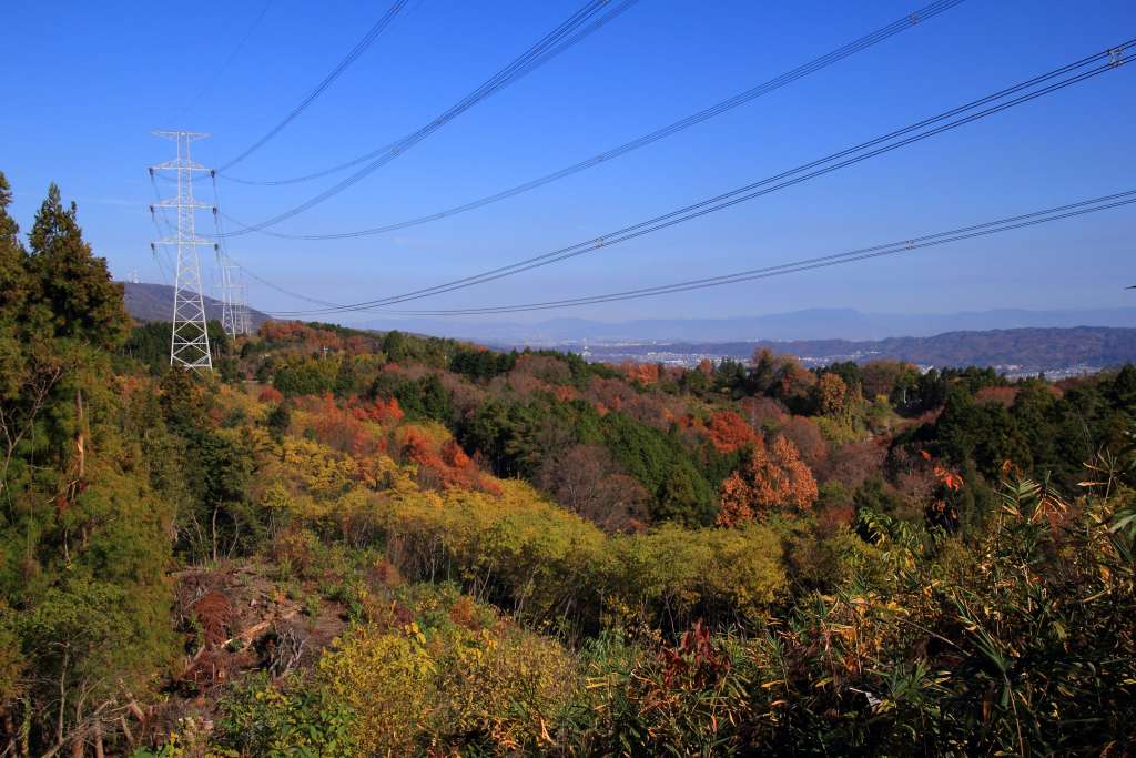 3,224－初冬の高安山・信貴山その4 Huちゃん 写真日記 楽天ブログ