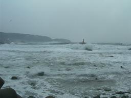 DSCN6235-w256.jpg