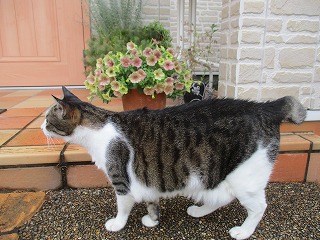 IMG_8865ss.jpg