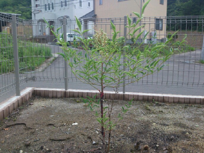 resizeman_20120705223048.jpg