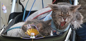IMG_1661-1.jpg