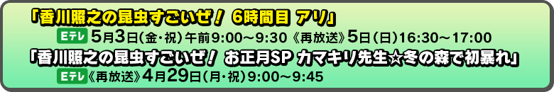 ぜ 昆虫 再 放送 2019 すごい
