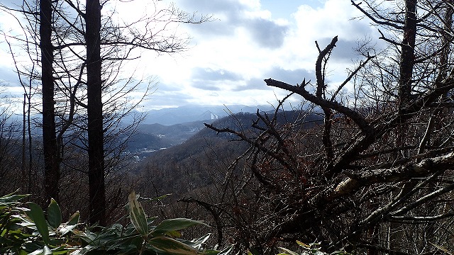PB261734　11：18藤野の山.jpg