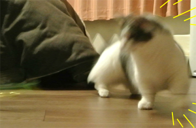 mumu13.jpg