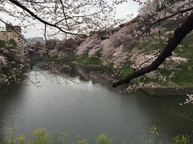 皇居2.jpg