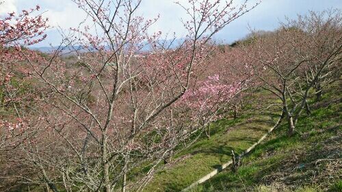 rblog-20160328215127-02.jpg