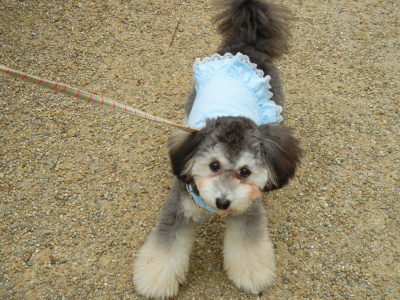 Liz 20120529.jpg