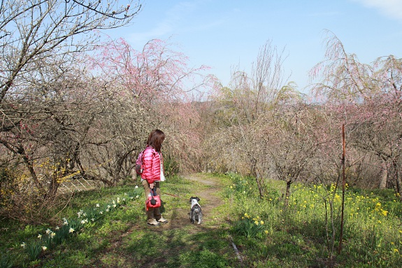 150419_46.jpg