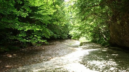 rblog-20180722210148-01.jpg