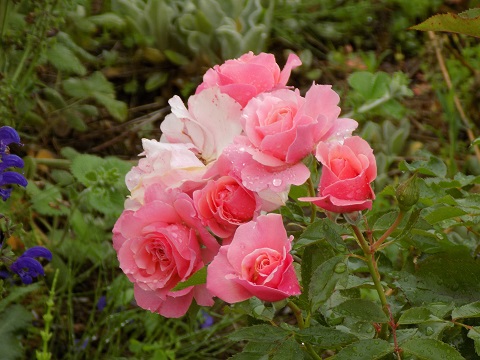 DSCN3861.JPG