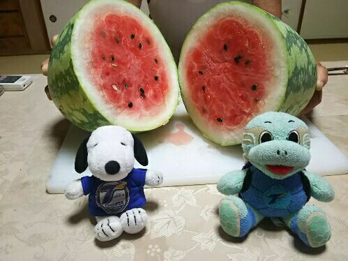 rblog-20160817213931-02.jpg