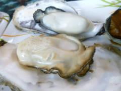 P1240571.JPG