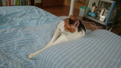 rblog-20171124105350-00.jpg