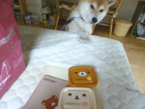 P1080818.JPG