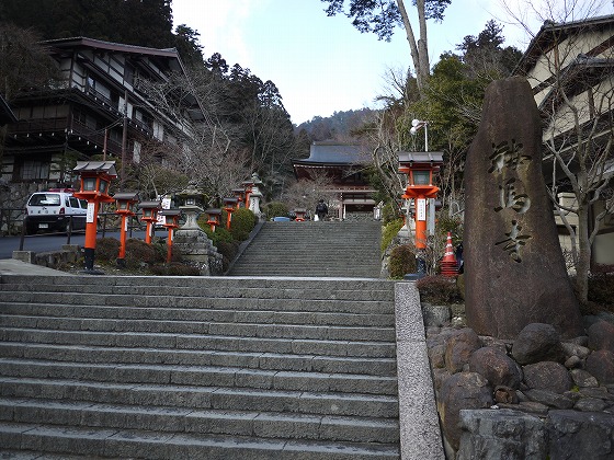 P1160240.jpg