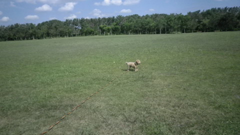 IMGP0235.jpg