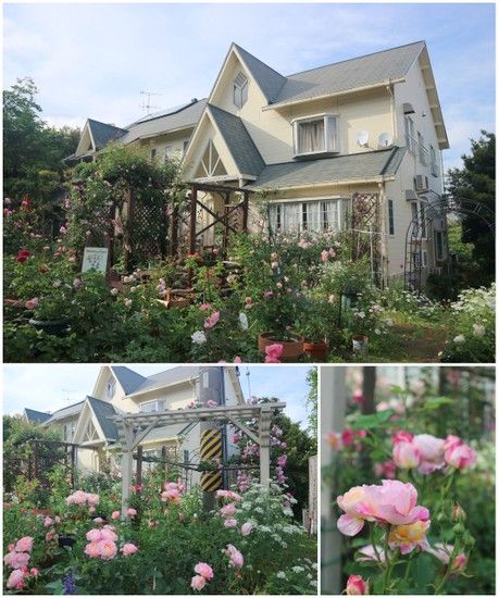 淡路のお花めぐり日記４ ペンション グリーンリーフ さんにお邪魔しました カントリーファン大感激です ガーデニングがすごいパン屋さんでも写真撮りまくりです カントリーの自宅ｓｈｏｐ テディベアテラス のゆみちゃんの日記 毎日 一歩 一歩 楽天ブログ