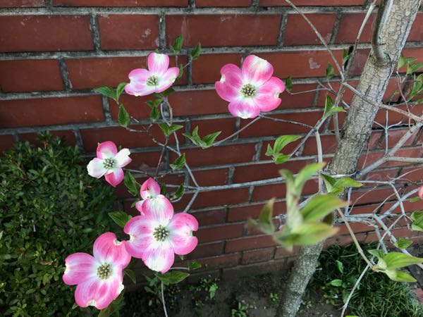 rblog-20180408180729-03.jpg