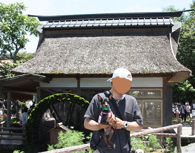 忍野八海2.jpg