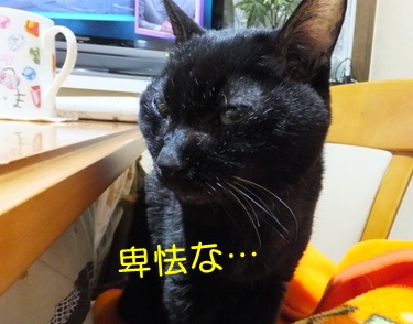 20121116_6.jpg