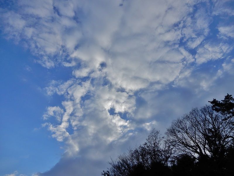 空5