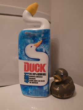 同居人ハロ子-4