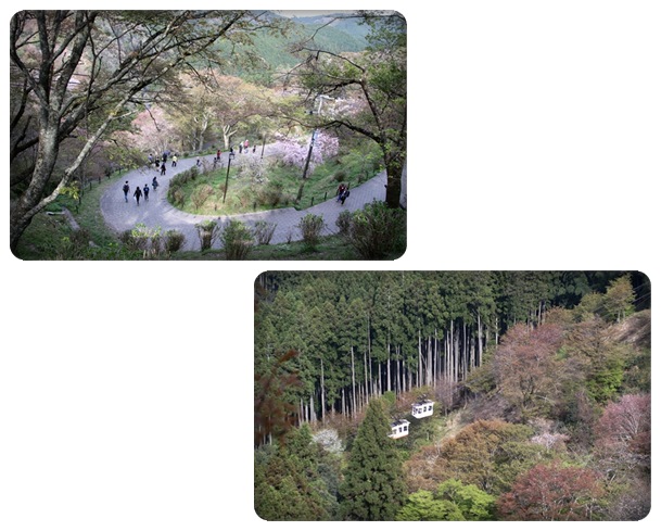吉野山-27 徒歩かロープーウェイ 16.4.12