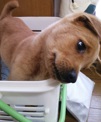 20130509k.jpg