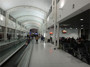 OZ970.jpg