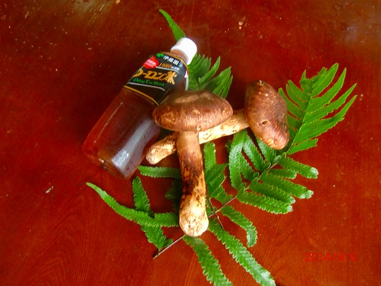 秋の美味しい恵み 013.jpg