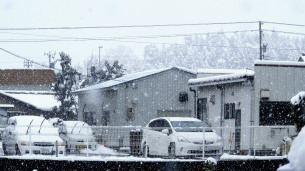 降雪　12.6　2014