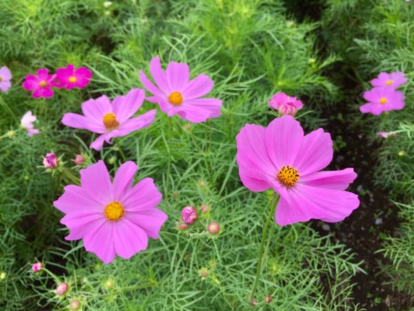 rblog-20171001174907-01.jpg