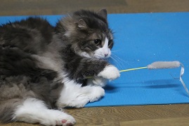 5DA_1487-12.jpg