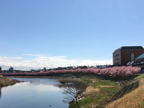 rblog-20180319000312-02.jpg