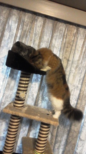20140130094624.jpg