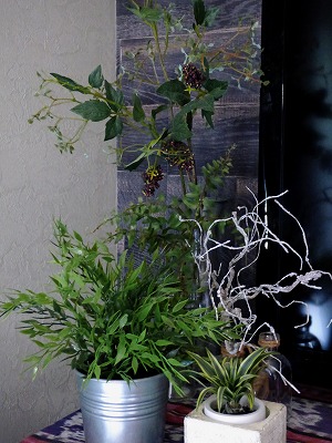 いなざうるす屋さん