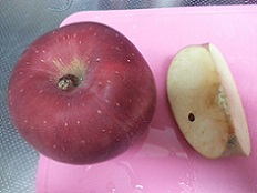成田さんがりんご１０個も届けてくれたよ.jpg