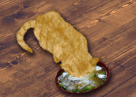猫　まんま.gif